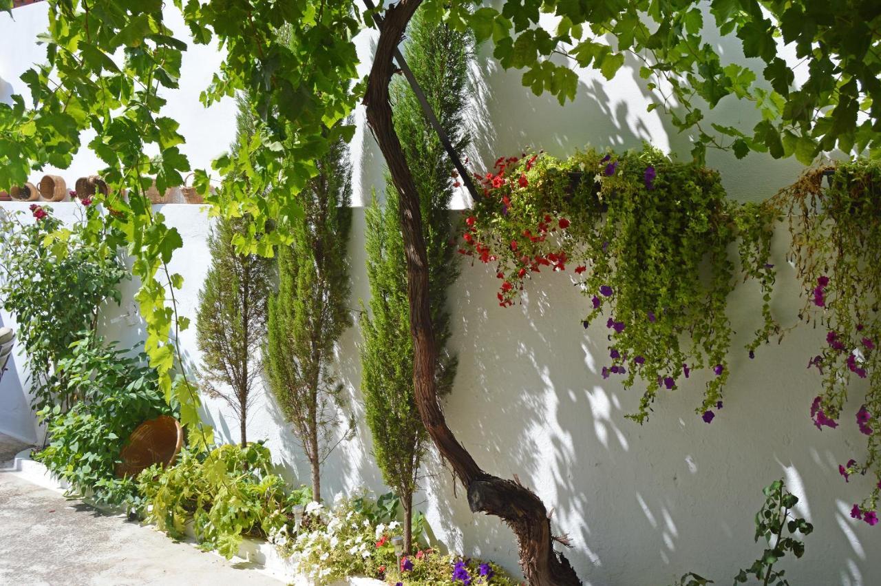 La Vieja Parra Guest House La Puerta de Segura Eksteriør bilde