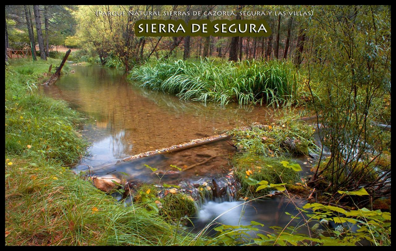 La Vieja Parra Guest House La Puerta de Segura Eksteriør bilde